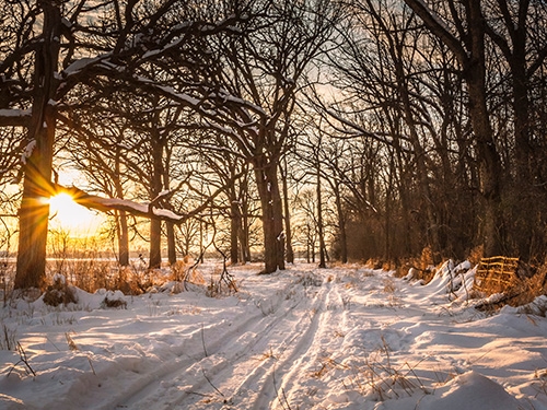 Wisconsin winter landscape