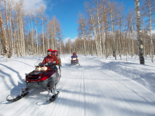 Snowmobilers on a trail