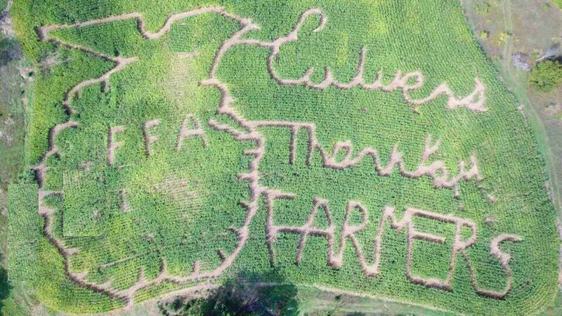 Aerial view of the Marshall, MI, Culver’s Thank You Farmers Project corn maze