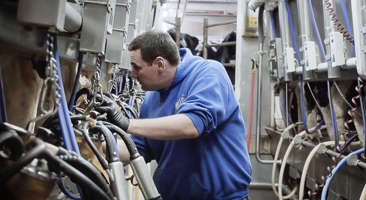 Mathes Dairy Farm milking devices.