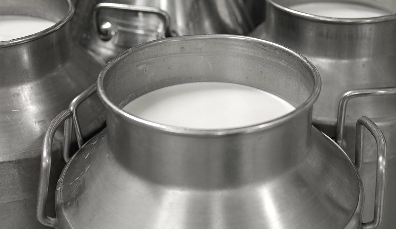 Large containers of milk being chilled until the milk hauler picks it up.