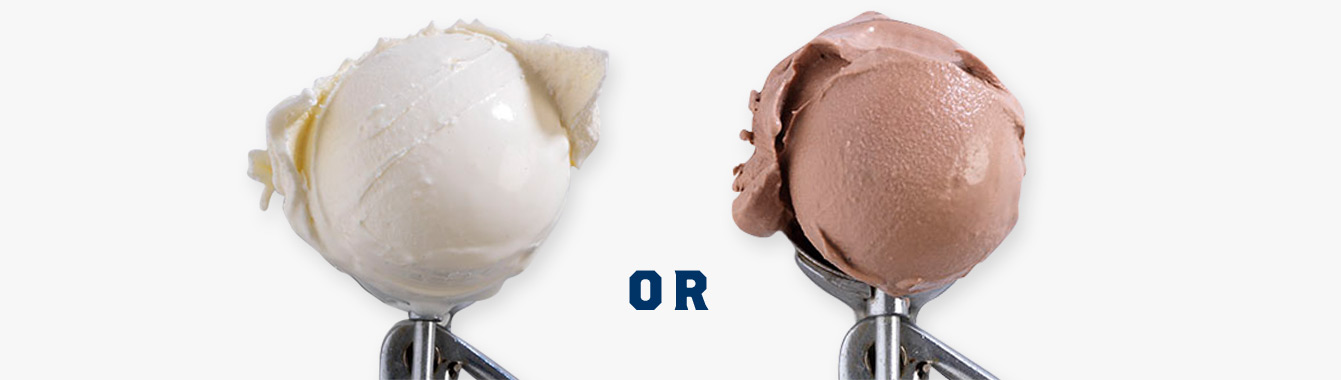 A scoop of vanilla custard and a scoop of chocolate custard.