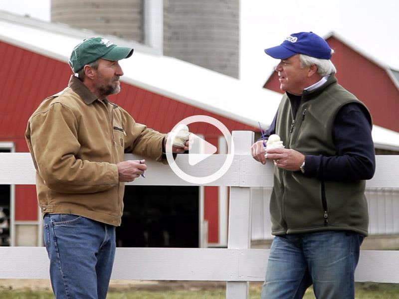 Watch Farm Fresh Dairy