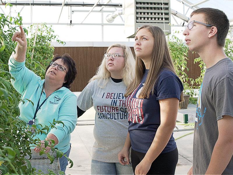 An FFA instructor teaching three Waupun FFA members in a greenhouse