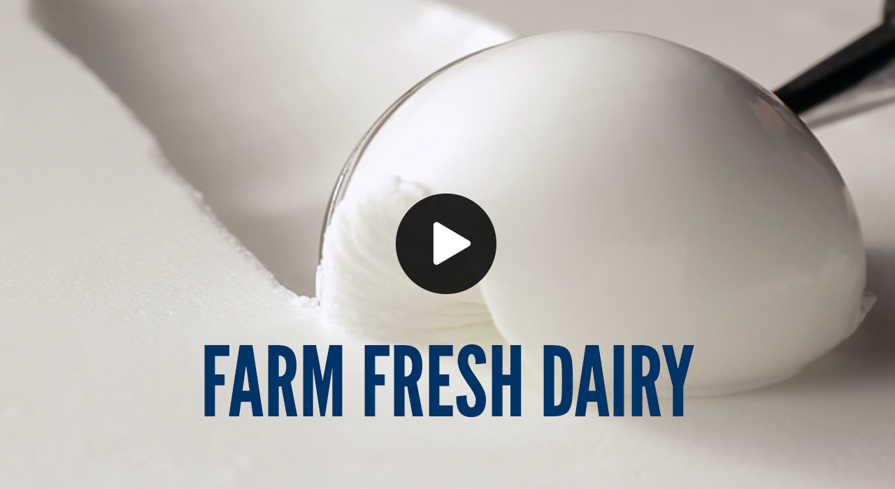 Watch Farm Fresh Dairy 