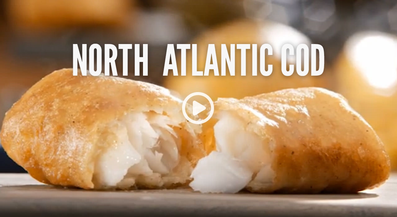 Watch Wild-Caught North Atlantic Cod