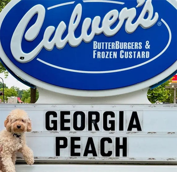  dog poses next to a Culver’s marquee that reads Georgia Peach.