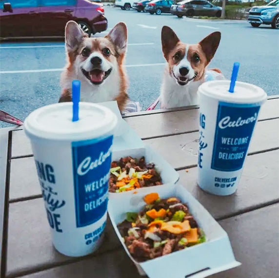 Two dogs sit at the Culver’s patio with Culver’s menu items in the foreground.