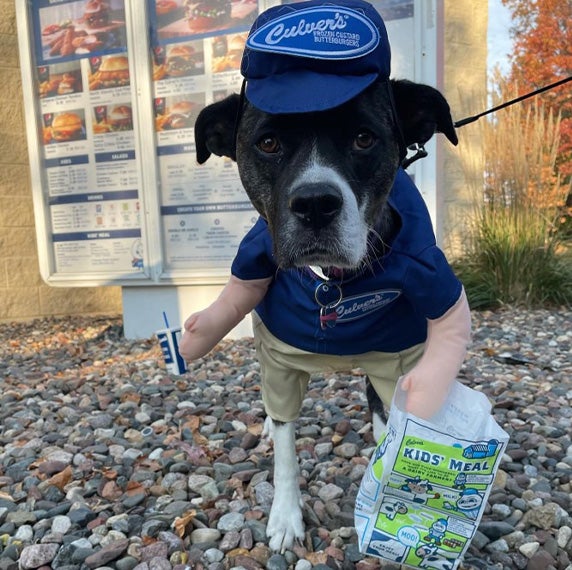 A dog in a True Blue Crew costume stands in front of a drive-thru menu board.
