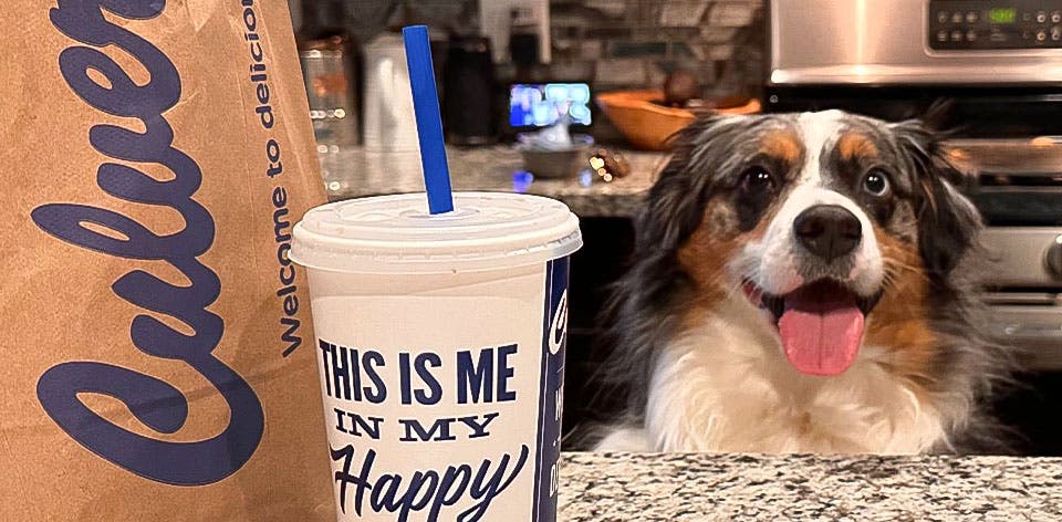 Culver's packaging sits on a countertop with a dog in the background.