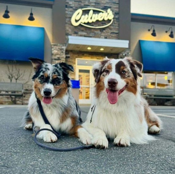 Two smiling dogs sit in front of a Culver's together.