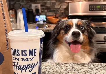 Culver's packaging sits on a countertop with a dog in the background.