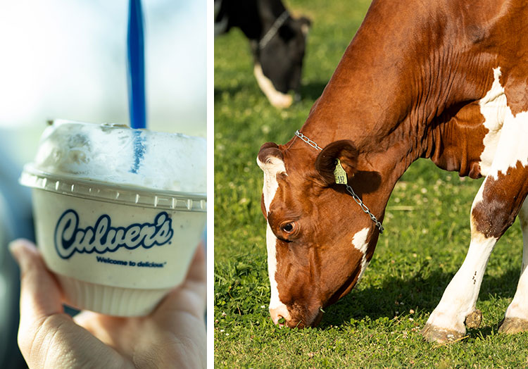 Link to story: How we celebrated Farmers in 2020. Pictured, a collage image of cow and dish of Fresh Frozen Custard