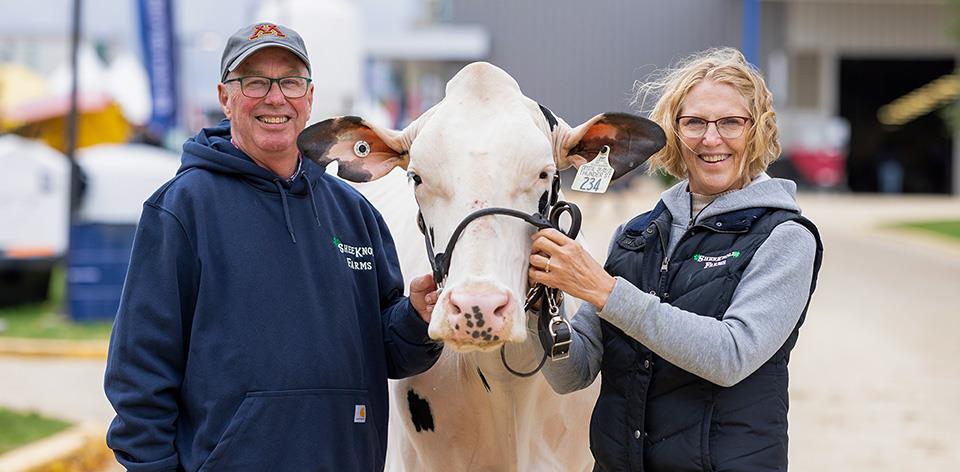 Two people smiling, standing next to a cow. 