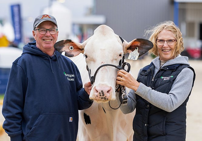 Two people smiling, standing next to a cow.