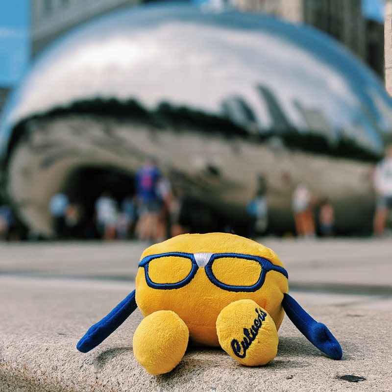 Curdis plushie sits in front of an art installation in Chicago