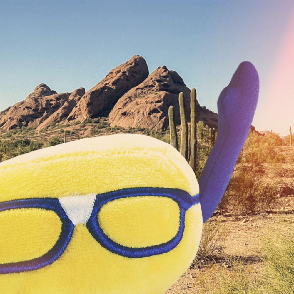 Curdis waving in front of a desert landscape. 